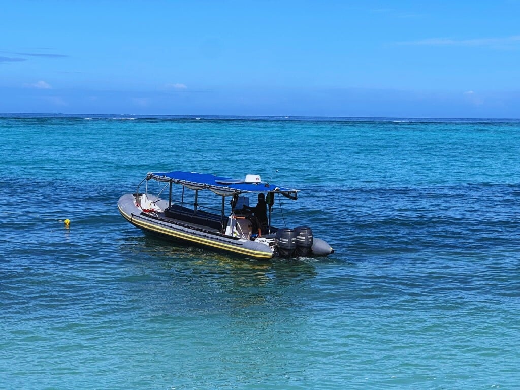 Fiji Mike vessel with canopy and outboard engines